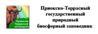 приокско-террасный заповедник